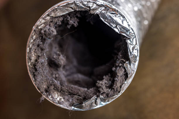 Best Best Air Duct Cleaning Company  in Jensen Beach, FL