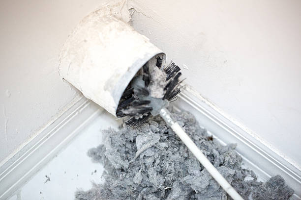Best Home Air Vent Cleaning  in Jensen Beach, FL